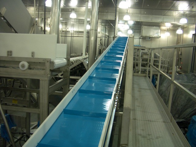 Fajas Transportadoras 7 00