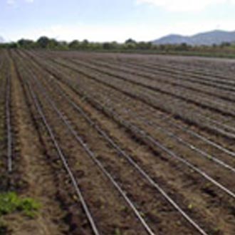 Mangas de riego uso agrícola 14 0014