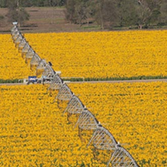 Mangas de riego uso agrícola 35 0035